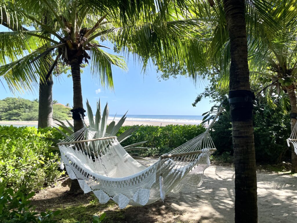Hammock strung between two palm trees on a Guanacaste beach