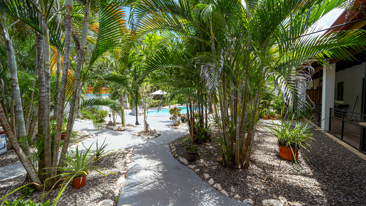 Income-Generating Tropical Oasis: 7-Unit Property on a Large Lot Minutes from Tamarindo