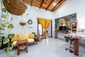 Income-Generating Tropical Oasis: 7-Unit Property on a Large Lot Minutes from Tamarindo