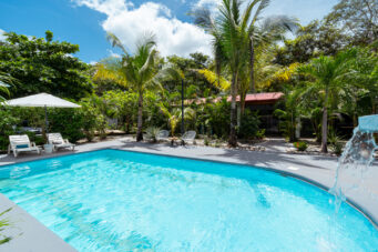 Income-Generating Tropical Oasis: 7-Unit Property on a Large Lot Minutes from Tamarindo