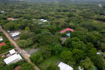 Income-Generating Tropical Oasis: 7-Unit Property on a Large Lot Minutes from Tamarindo