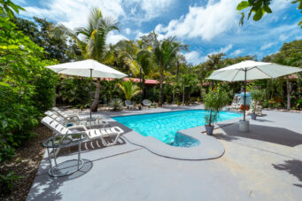 Income-Generating Tropical Oasis: 7-Unit Property on a Large Lot Minutes from Tamarindo