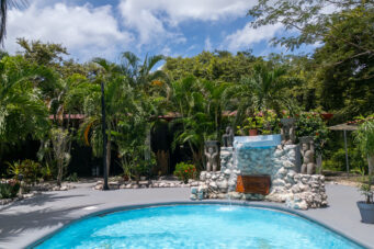 Income-Generating Tropical Oasis: 7-Unit Property on a Large Lot Minutes from Tamarindo