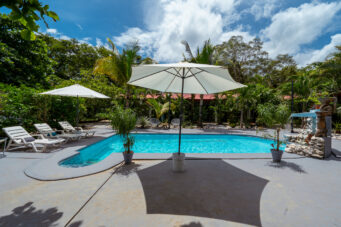 Income-Generating Tropical Oasis: 7-Unit Property on a Large Lot Minutes from Tamarindo