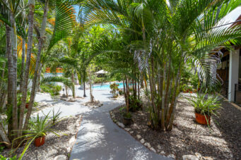 Income-Generating Tropical Oasis: 7-Unit Property on a Large Lot Minutes from Tamarindo