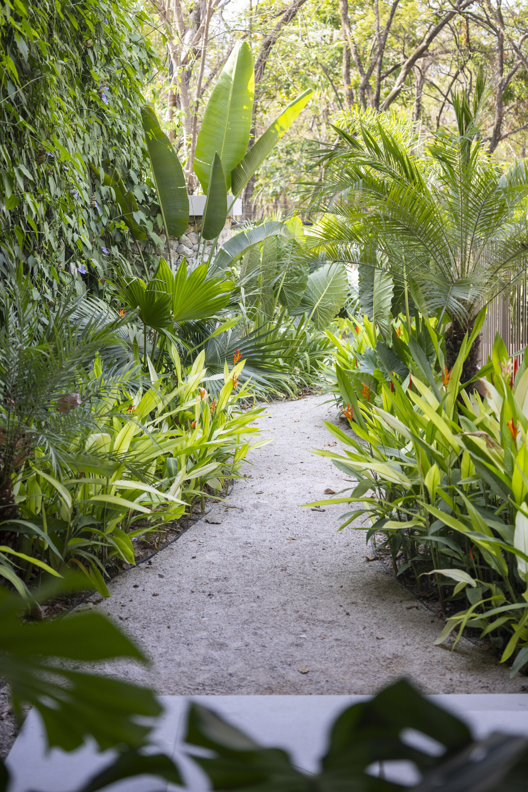 Casa Prana - High-End Beach Mansion in Playa Grande, Thoughtfully Crafted for You