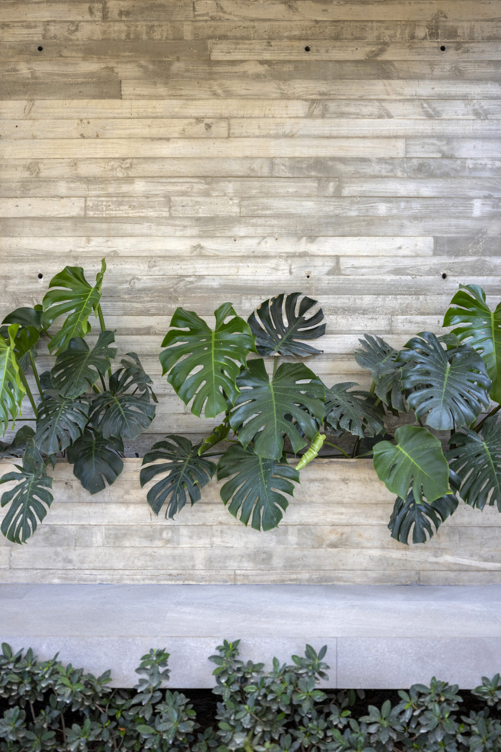 Casa Prana - High-End Beach Mansion in Playa Grande, Thoughtfully Crafted for You