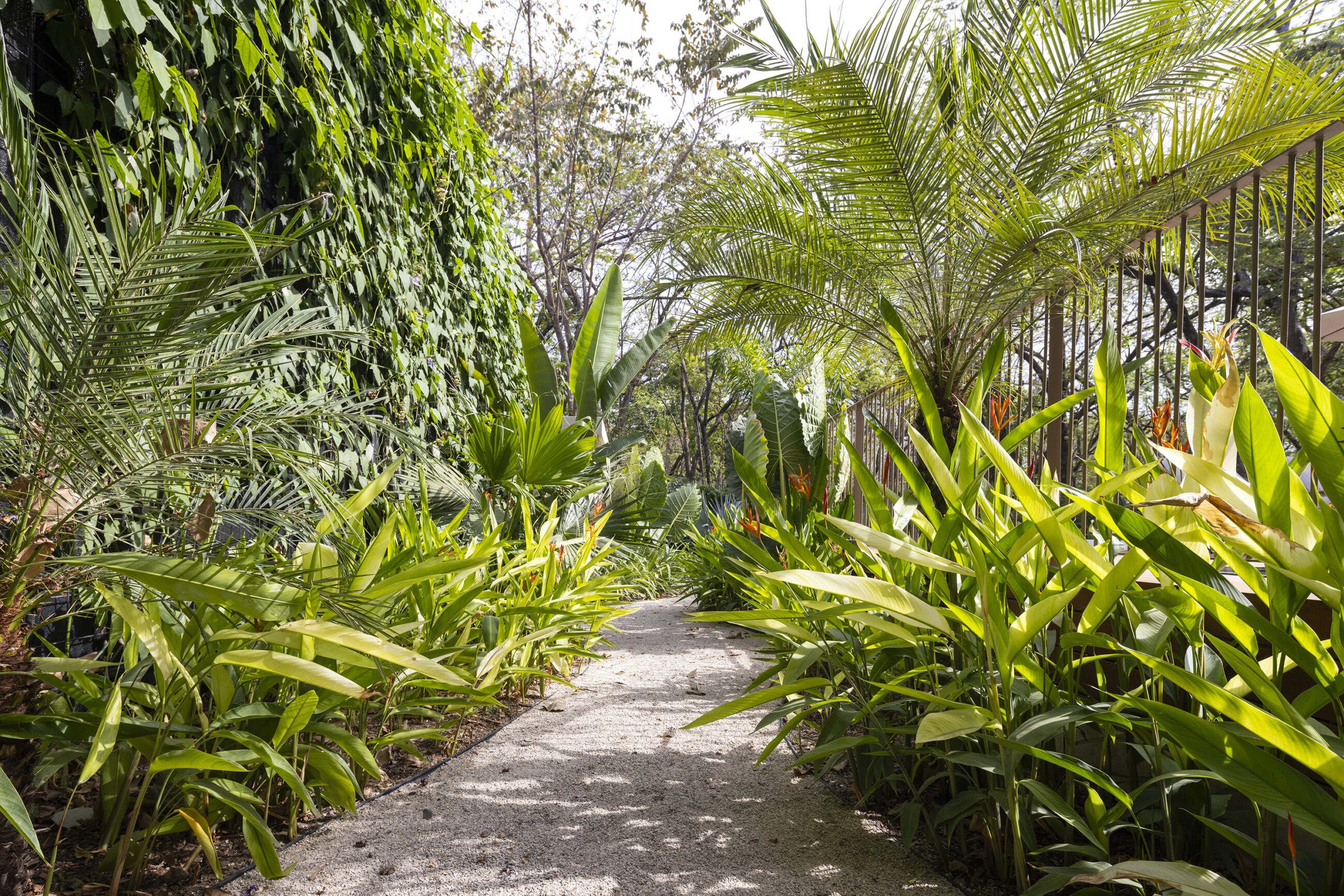 Casa Prana - High-End Beach Mansion in Playa Grande, Thoughtfully Crafted for You