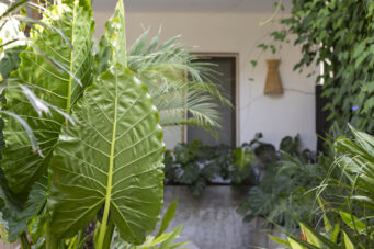 Casa Prana - High-End Beach Mansion in Playa Grande, Thoughtfully Crafted for You