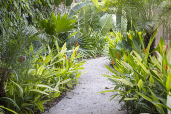 Casa Prana - High-End Beach Mansion in Playa Grande, Thoughtfully Crafted for You