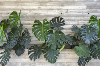 Casa Prana - High-End Beach Mansion in Playa Grande, Thoughtfully Crafted for You