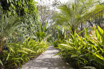 Casa Prana - High-End Beach Mansion in Playa Grande, Thoughtfully Crafted for You